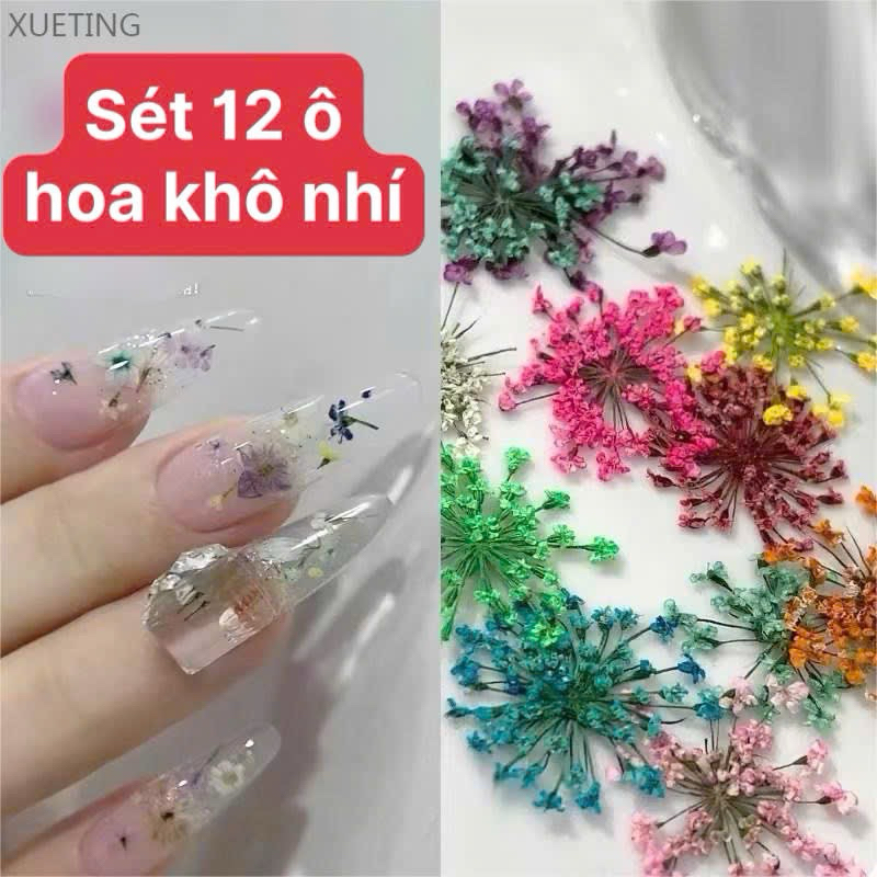 Khay 12 ngăn hoa khô, hoa ẩn, hoa trang trí móng