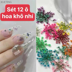 Khay 12 ngăn hoa khô, hoa ẩn, hoa trang trí móng
