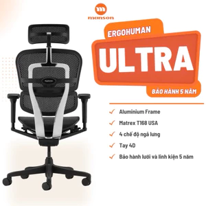 Ghế Công thái Học Cao Cấp Ergohuman Ultra Và Elite 2 Chính Hãng Bảo Hành 5 Năm