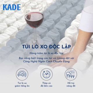 Nệm Foam Lò Xo Foam Mattress Spring lò xo túi độc lập cao 22cm cùng 2 tầng cao su non nâng đỡ cơ thể
