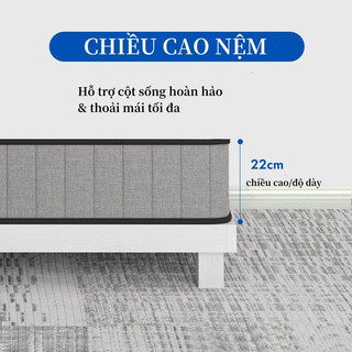 Nệm Foam Lò Xo Foam Mattress Spring lò xo túi độc lập cao 22cm cùng 2 tầng cao su non nâng đỡ cơ thể