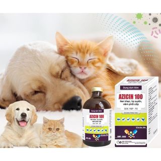 Azicin 100 chai 100ml thuốc thú y Vb Pharma trị đường hô hấp tiêu hóa ở heo chó mèo gia súc gia cầm