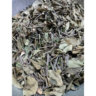 Tầm Gửi cây Dâu Tằm (khô sạch )- Tang ký sinh