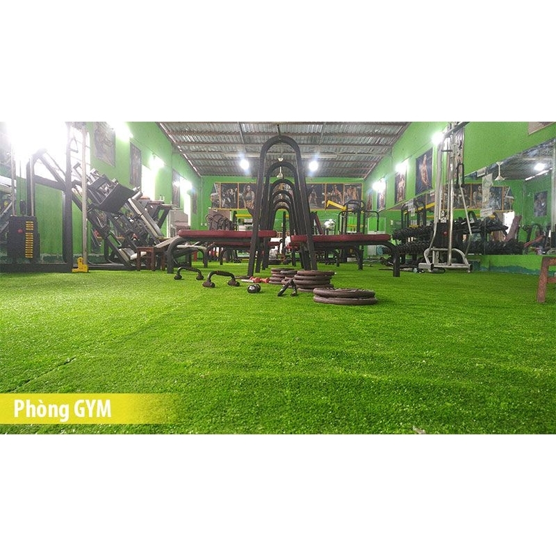 Combo 10m² (2m x 5m) Thảm cỏ nhân tạo 1cm tốt, trải sàn, sân khấu, sự kiện, trang trí tường