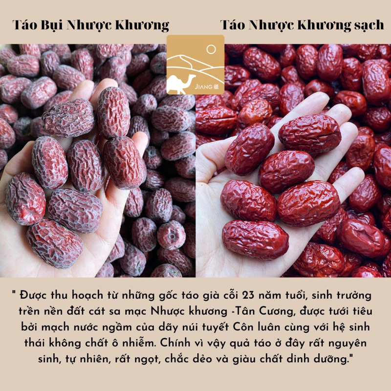 Táo đỏ Tân Cương Táo Bụi Nhược Khương Vua táo Tân Cương chuẩn vùng