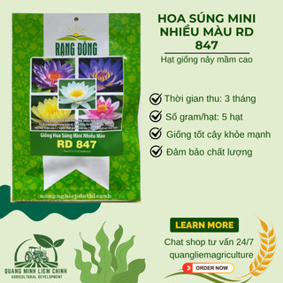 Hạt giống Hoa Súng Mini Nhiều Màu Rd 847 (5 hạt) phù hợp trồng chậu, quanh năm