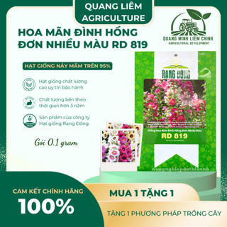 Hạt Giống Hoa Mãn Đình Hồng Đơn Nhiều Màu RADO 819 (Gói 0,1gram~20 Hạt) Rạng Đông, Trồng Quanh Năm