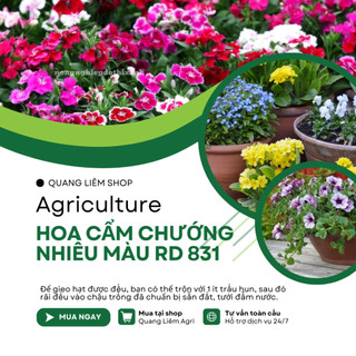 Hạt Giống Hoa Cẩm Chướng Nhiều Màu RADO 831 (Gói 0,1gram~200 Hạt) Rạng Đông, Nhiều Màu