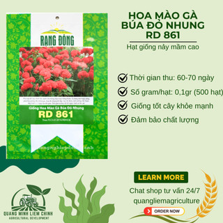 Hạt giống Hoa Mào Gà Búa Đỏ Nhung Rd 861 (0,1gram~500 hạt) nảy mầm tốt, thích hợp mùa tết