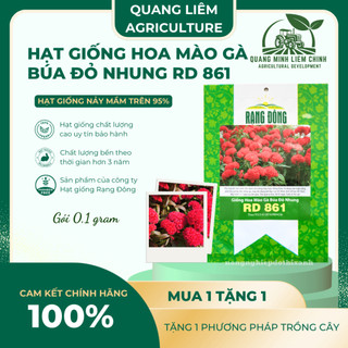 Hạt giống Hoa Mào Gà Búa Đỏ Nhung Rd 861 (0,1gram~500 hạt) nảy mầm tốt, thích hợp mùa tết
