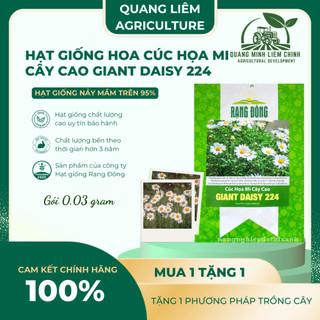 Hạt giống Hoa Cúc Họa Mi Cây Cao Giant Daisy 224 (0,03gram~500 hạt) nở lâu