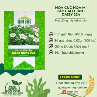 Hạt giống Hoa Cúc Họa Mi Cây Cao Giant Daisy 224 (0,03gram~500 hạt) nở lâu
