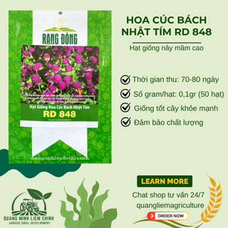 Hạt giống Hoa Cúc Bách Nhật Tím RD 848 (0,1gram~50 hạt) trồng quanh năm, hoa ra liên tục, nảy mầm