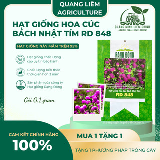 Hạt giống Hoa Cúc Bách Nhật Tím RD 848 (0,1gram~50 hạt) trồng quanh năm, hoa ra liên tục, nảy mầm