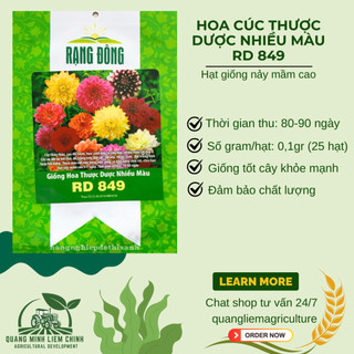 Hạt giống Hoa Cúc Thược Dược Nhiều Màu RD 849 (0,1gram~25 hạt) cao 40cm, nhiều màu, trồng quanh năm