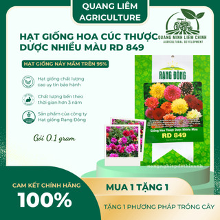 Hạt giống Hoa Cúc Thược Dược Nhiều Màu RD 849 (0,1gram~25 hạt) cao 40cm, nhiều màu, trồng quanh năm