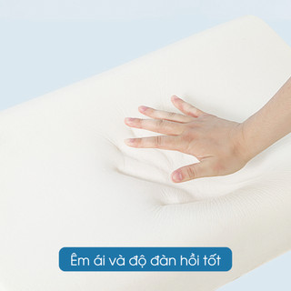 [MEMORY FOAM] Ruột gối cao su non hỗ trợ ngủ ngon NIN House 60x40x12cm cho người lớn, người già