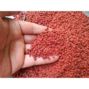 1 KG Hạt điều màu/ Hạt điều đỏ tạo màu/ Hạt Cari _ Hạt Điều Đỏ, Hạt điều màu giá sỉ _hạt cà ri giá sỉ Nongsangiasi