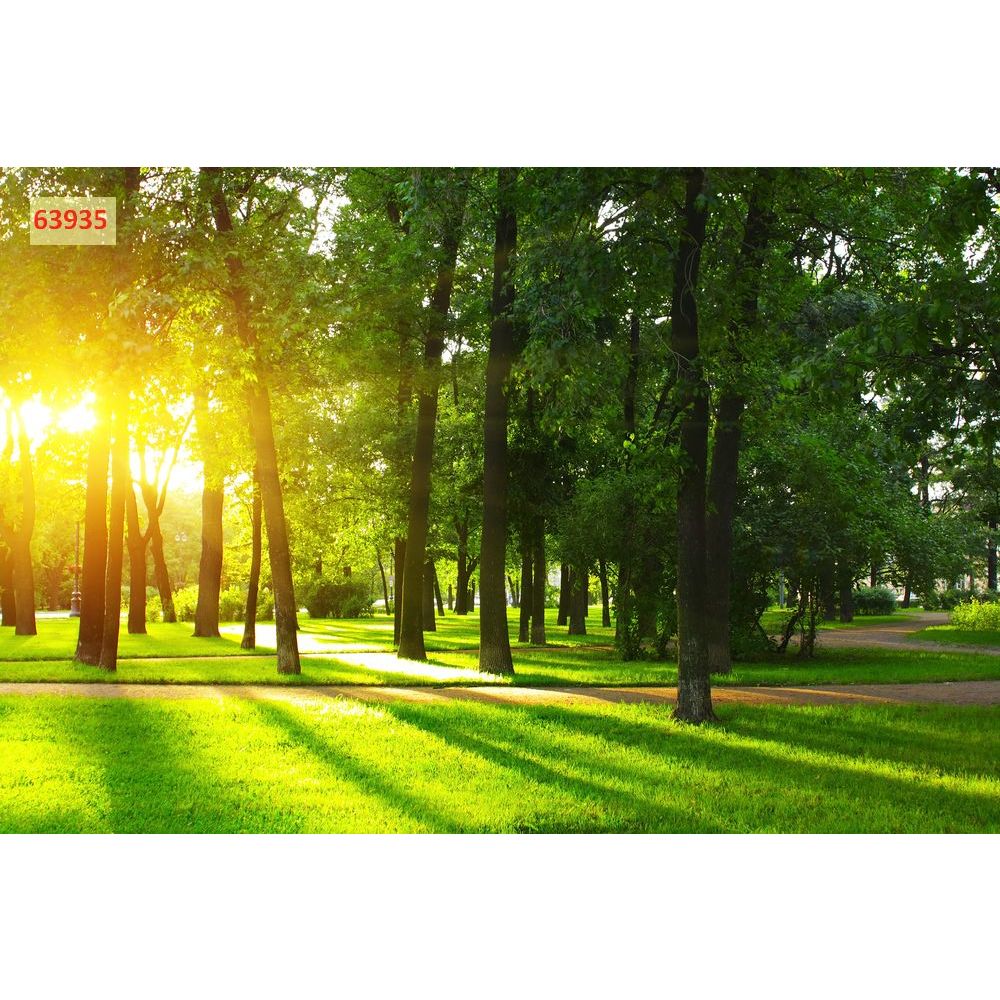 Tranh phong cảnh thiên nhiên núi rừng, tranh dán tường 3D tranh lụa cao cấp