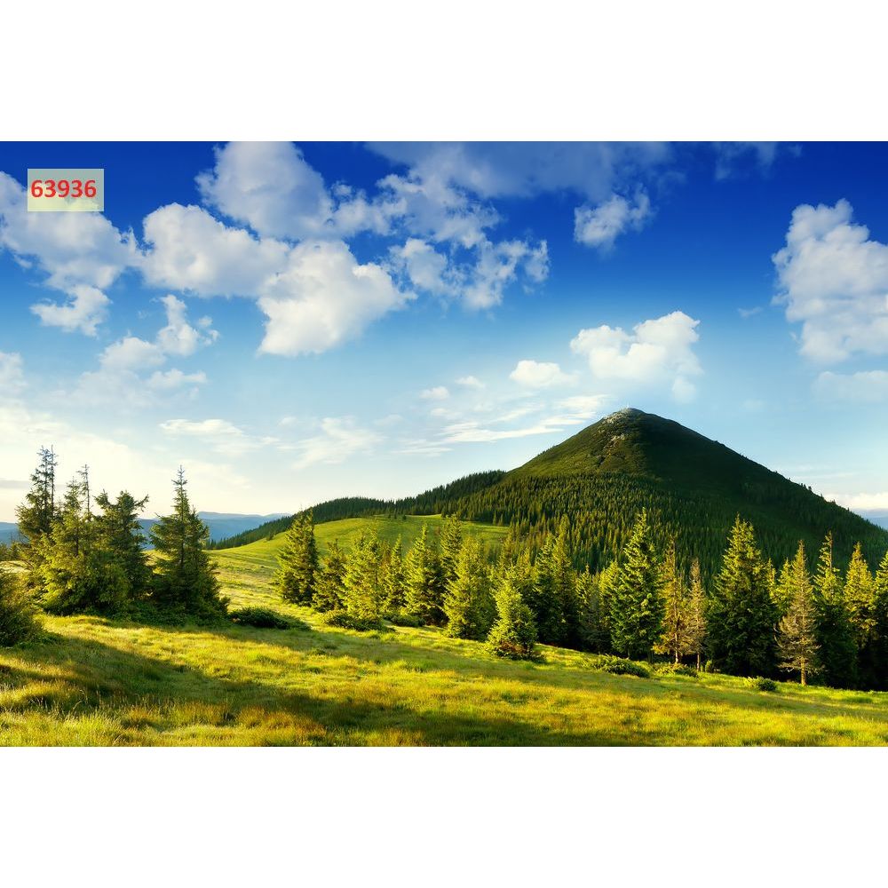 Tranh phong cảnh thiên nhiên núi rừng, tranh dán tường 3D tranh lụa cao cấp
