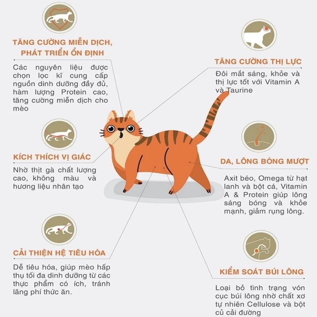 HẠT CHO MÈO - Thức ăn cho mèo mọi lứa tuổi CAT'S EYE
