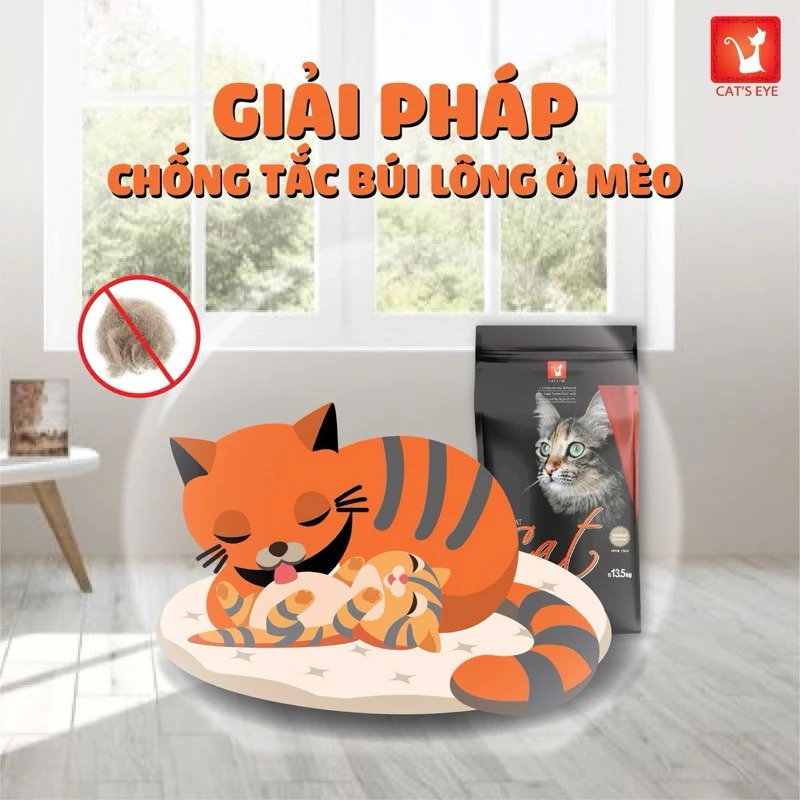 HẠT CHO MÈO - Thức ăn cho mèo mọi lứa tuổi CAT'S EYE