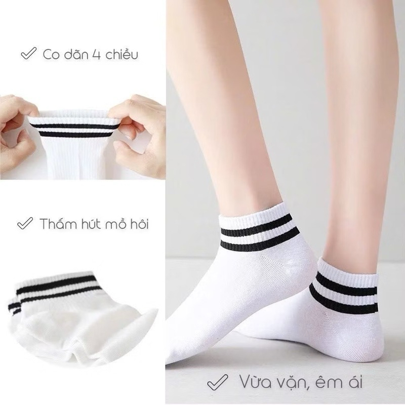 Tất vớ nam nữ Hàn Quốc cổ thấp G 876