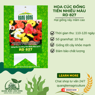 Hạt Giống Hoa Cúc Đồng Tiền Nhiều Màu RADO 827 (Gói 10 Hạt) Rạng Đông, Hoa Nở Rực Rỡ