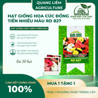 Hạt Giống Hoa Cúc Đồng Tiền Nhiều Màu RADO 827 (Gói 10 Hạt) Rạng Đông, Hoa Nở Rực Rỡ