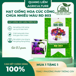 Hạt Giống Hoa Cúc Công Chúa Nhiều Màu RADO 803 (Gói 0,1g~70 Hạt) Rạng Đông Nhiều Màu Hoa Trồng Chậu