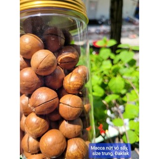 Hạt  Macca Đắc Lắc sấy giòn nứt vỏ (size trung 2.5 _2.7cm),có tặng đồ tách hạt,giàu dinh dưỡng,tốt cho sức khỏe