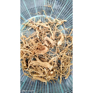 Rễ cây cà gai leo khô sạch (tự nhiên) tốt nhất cho gan