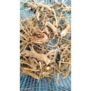 Rễ cây cà gai leo khô sạch (tự nhiên) tốt nhất cho gan