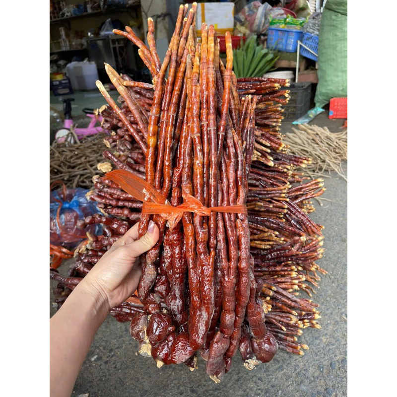Nấm Linh chi Sừng Hươu Tây Bắc thu hái rừng, phơi khô tự nhiên. Thảo dược nấm linh chi sừng hươu, linh chi đỏ
