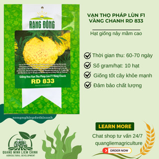 Hạt Giống Hoa Vạn Thọ Pháp Lùn F1 Vàng Chanh RADO 833 (Gói 10 Hạt) Rạng Đông, Cao Tầm 30-40cm