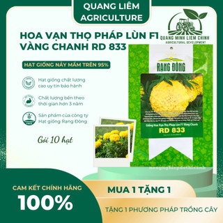 Hạt Giống Hoa Vạn Thọ Pháp Lùn F1 Vàng Chanh RADO 833 (Gói 10 Hạt) Rạng Đông, Cao Tầm 30-40cm