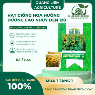 Hạt giống Hoa Hướng Dương Cao Nhụy Đen 128 (1gram~40 hạt) thân cao, trồng chậu hoặc cắt cành