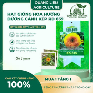 Hạt Giống Hoa Hướng Dương Cánh Kép Rado 839 (Gói 1g~20 Hạt) Rạng Đông, Dễ Trồng, Nhanh Ra Hoa