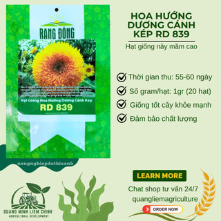 Hạt Giống Hoa Hướng Dương Cánh Kép Rado 839 (Gói 1g~20 Hạt) Rạng Đông, Dễ Trồng, Nhanh Ra Hoa