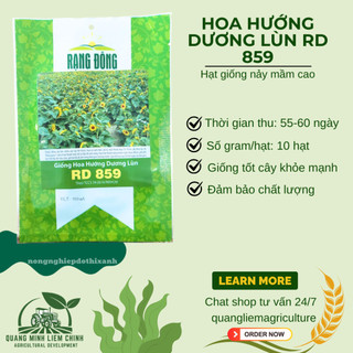 Hạt Giống Hoa Hướng Dương Lùn RADO 859 (Gói 10 Hạt) Rạng Đông, Cánh Đơn, Hoa Nở To, Trồng Cây