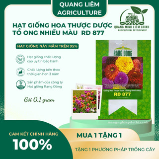 Hạt giống Hoa Thược Dược Tổ Ong Nhiều Màu Rd 877 (0,1gram ~20 hạt) dễ chăm sóc