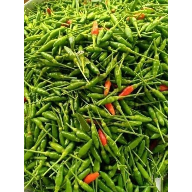 1 kg ớt xiêm xanh thơm cay đặc biệt | Shopee Việt Nam