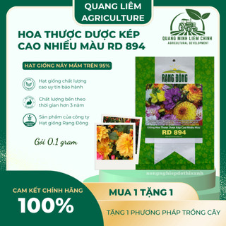 Hạt giống Hoa Thược Dược Kép Cao Nhiều Màu RD 894 (0,1gram~25 hạt) cao 140-160cm, trồng quanh năm