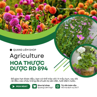 Hạt giống Hoa Thược Dược Kép Cao Nhiều Màu RD 894 (0,1gram~25 hạt) cao 140-160cm, trồng quanh năm