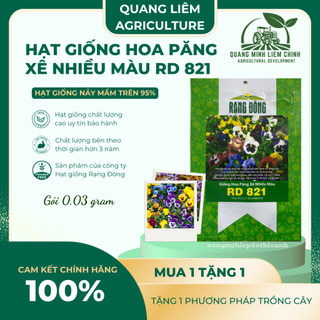 Hạt giống Hoa Păng Xê Nhiều Màu RD 821 (0,03gram~40 hạt) hoa Pansy nhiều màu, cây cao 15-20 cm