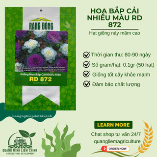 Hạt giống Hoa Bắp Cải Nhiều Màu RD 872 (0,1gram~50 hạt) nhiều màu, ăn được, dễ chăm sóc