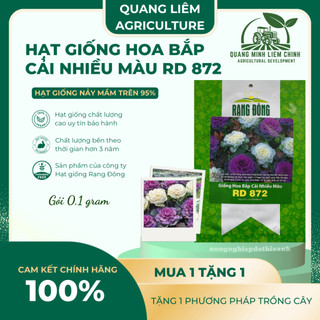 Hạt giống Hoa Bắp Cải Nhiều Màu RD 872 (0,1gram~50 hạt) nhiều màu, ăn được, dễ chăm sóc