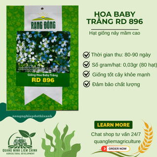 Hạt Giống Hoa Baby Trắng RADO 896 (Gói 0,03g~80 Hạt) Rạng Đông, Dùng Làm Hoa Khô Trang Trí