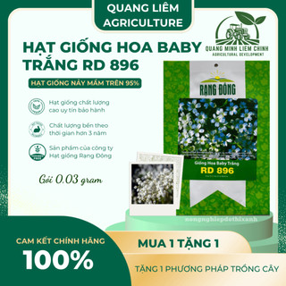 Hạt Giống Hoa Baby Trắng RADO 896 (Gói 0,03g~80 Hạt) Rạng Đông, Dùng Làm Hoa Khô Trang Trí