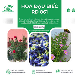 Hạt giống Hoa Đậu Biếc RD 861 (2gram~35 hạt) hoa nở liên tục chịu hạn tốt, tuổi thọ 3-5 năm